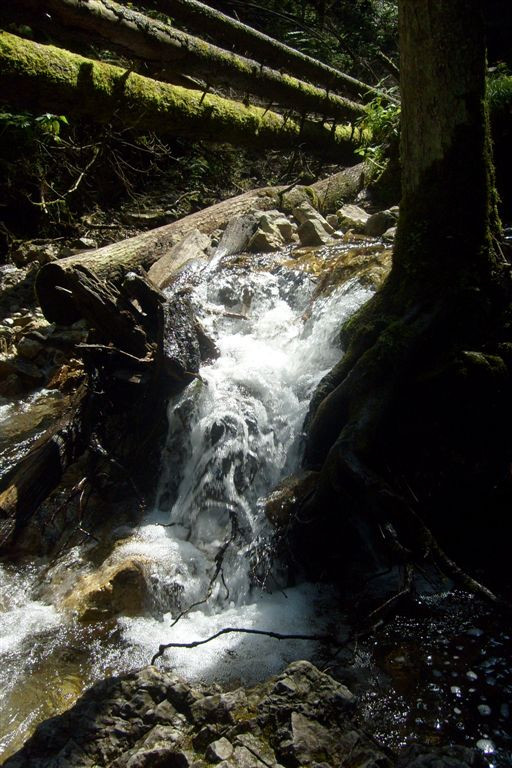 Szlovákia 2010 137