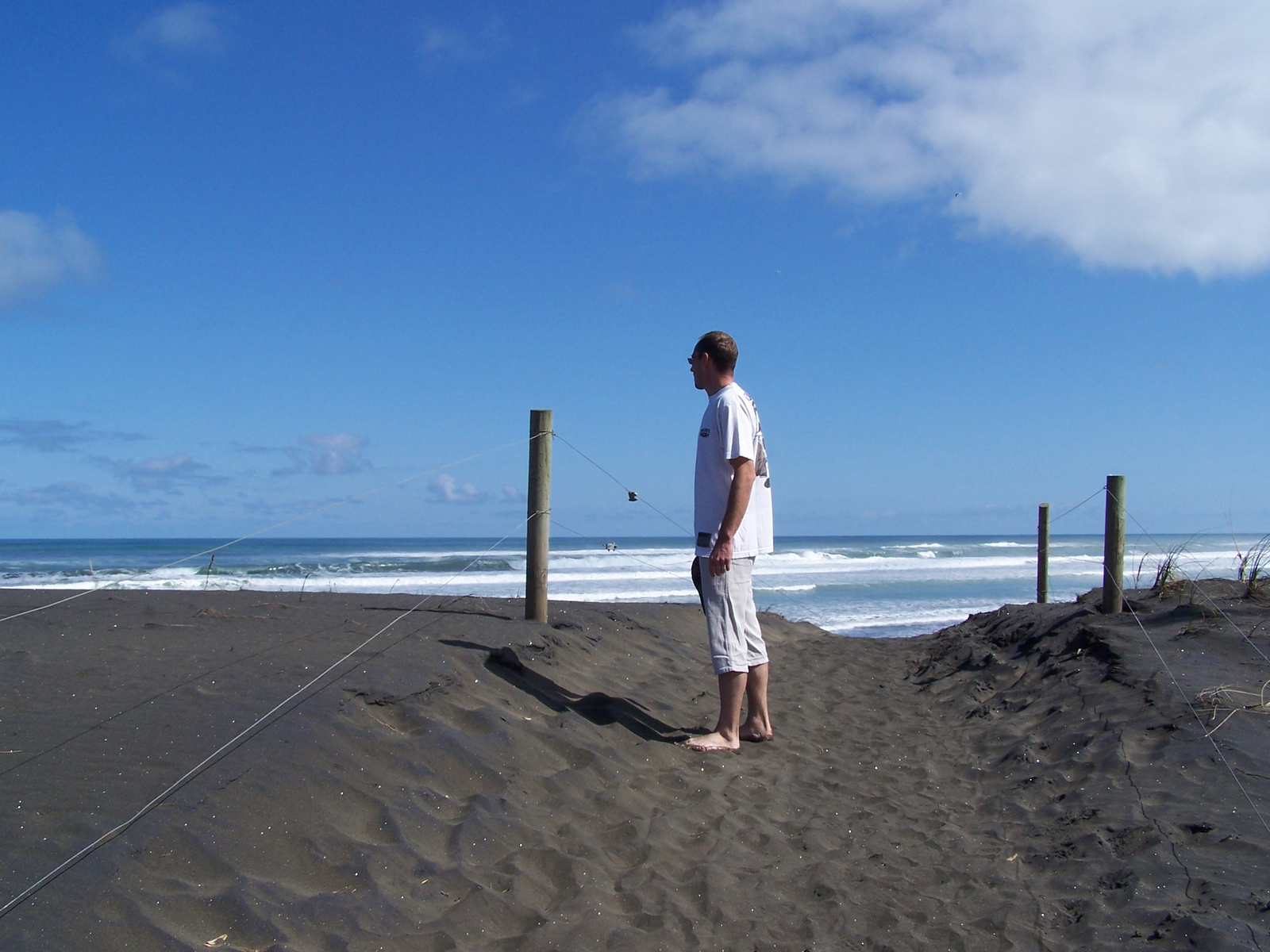 Muriwai & Piha 010