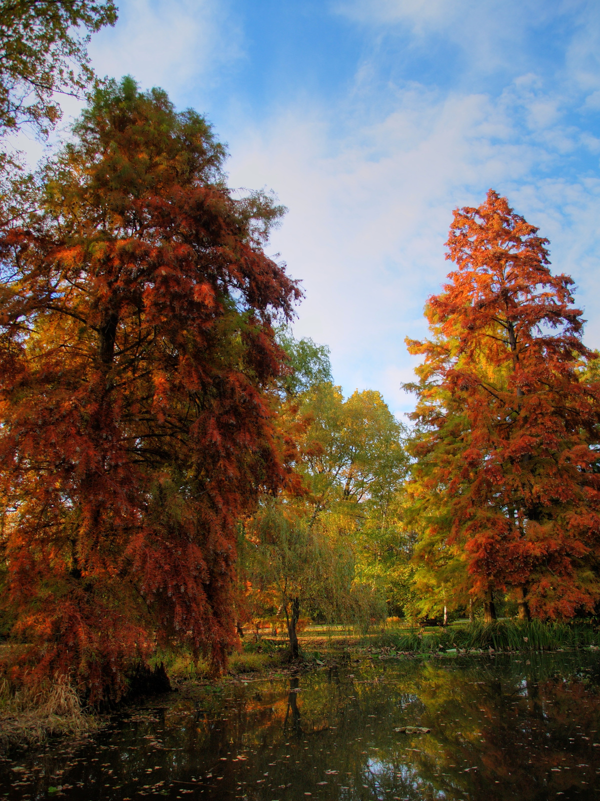 Szegedi füvészkert ősszel