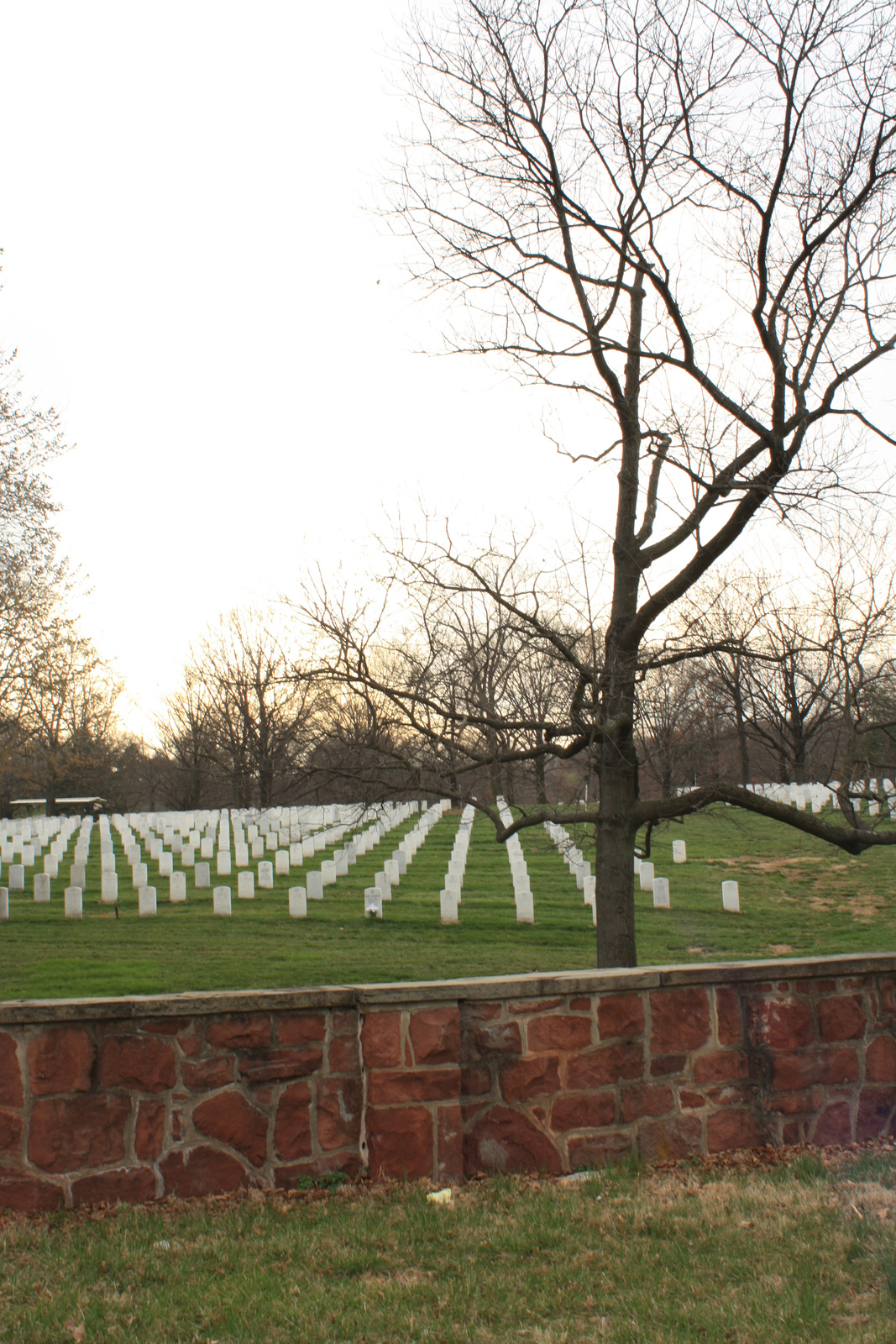 The Arlington Cemetery