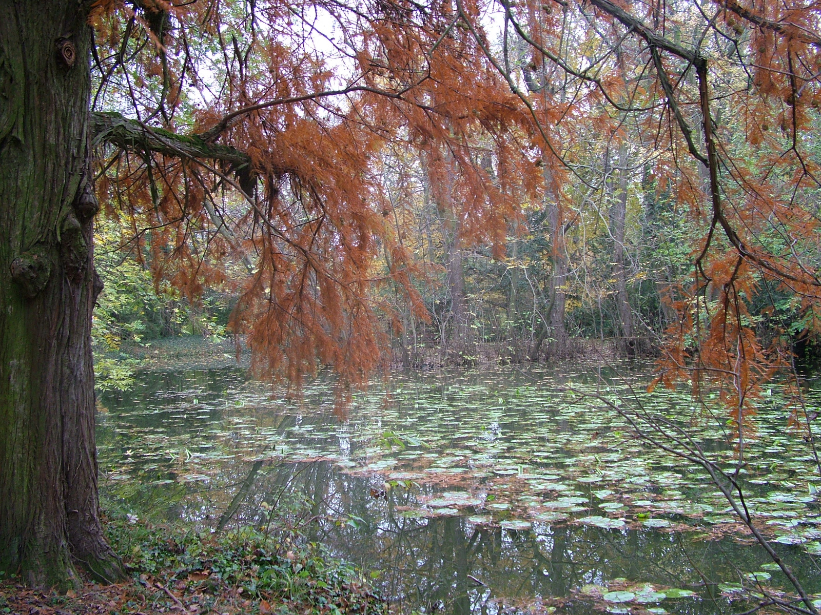 varázslóhely