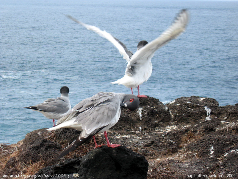 07ecuador 800x600