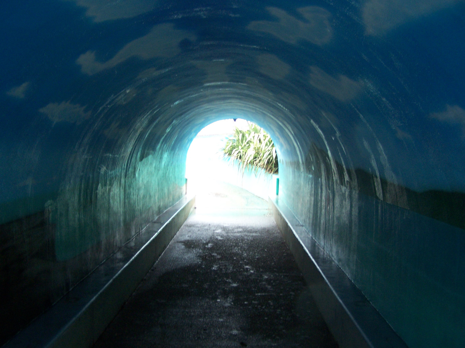 winter on Mairangi bay 028