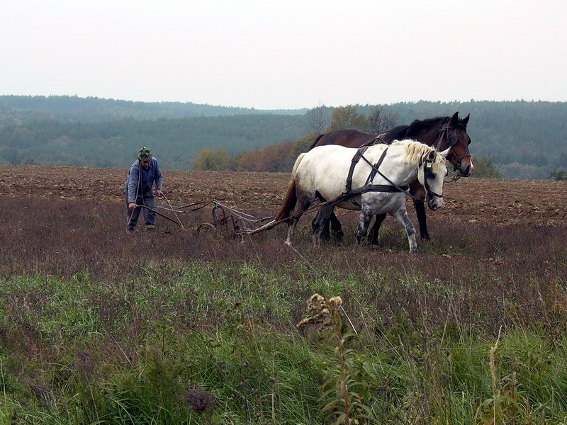 Őrségi vallomások