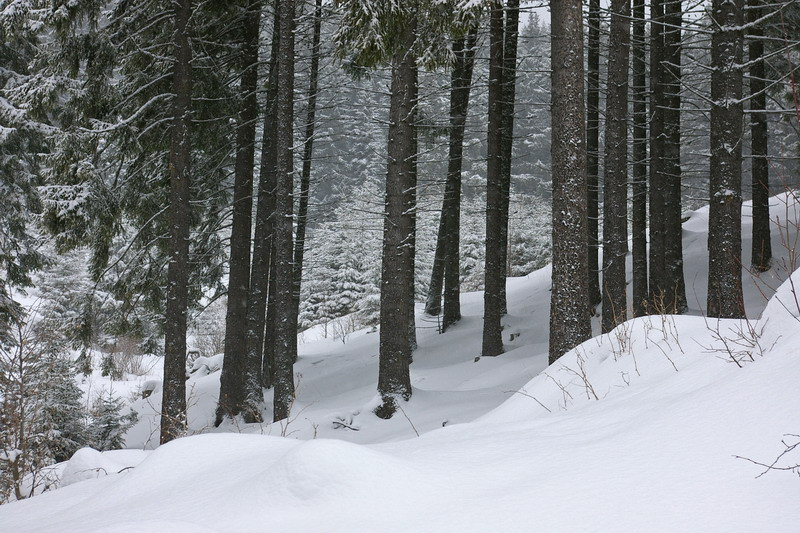 Hargitafürdő, Csíkszereda, Korond 2010. 02. 12-14. LHM turné