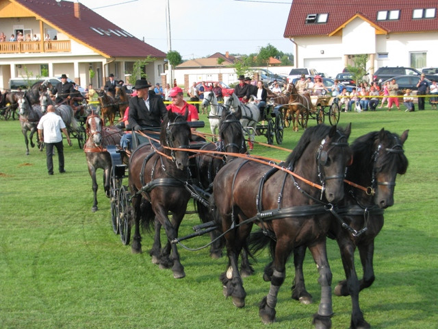 fogathajto-jakabszallas-meszarosmate (39)