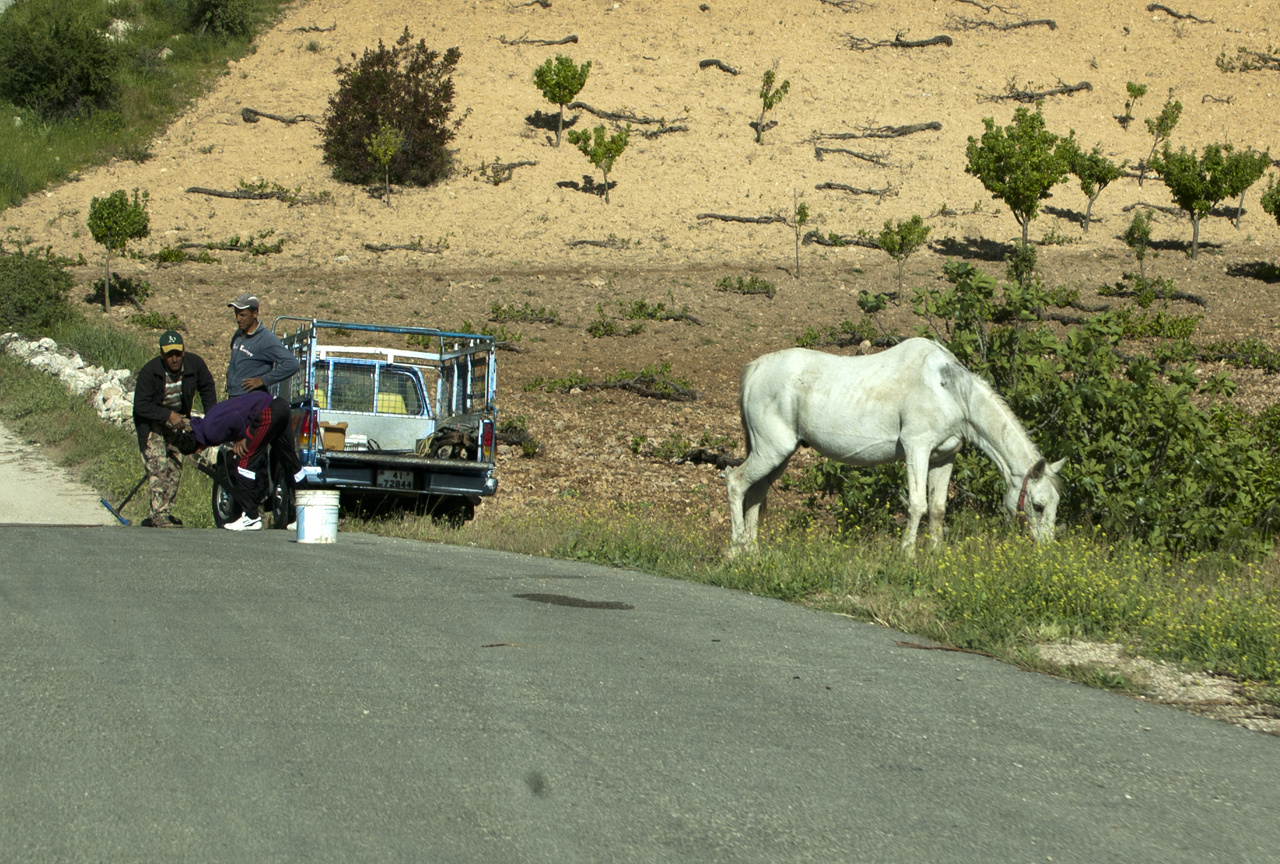 Ajloun Day2 025