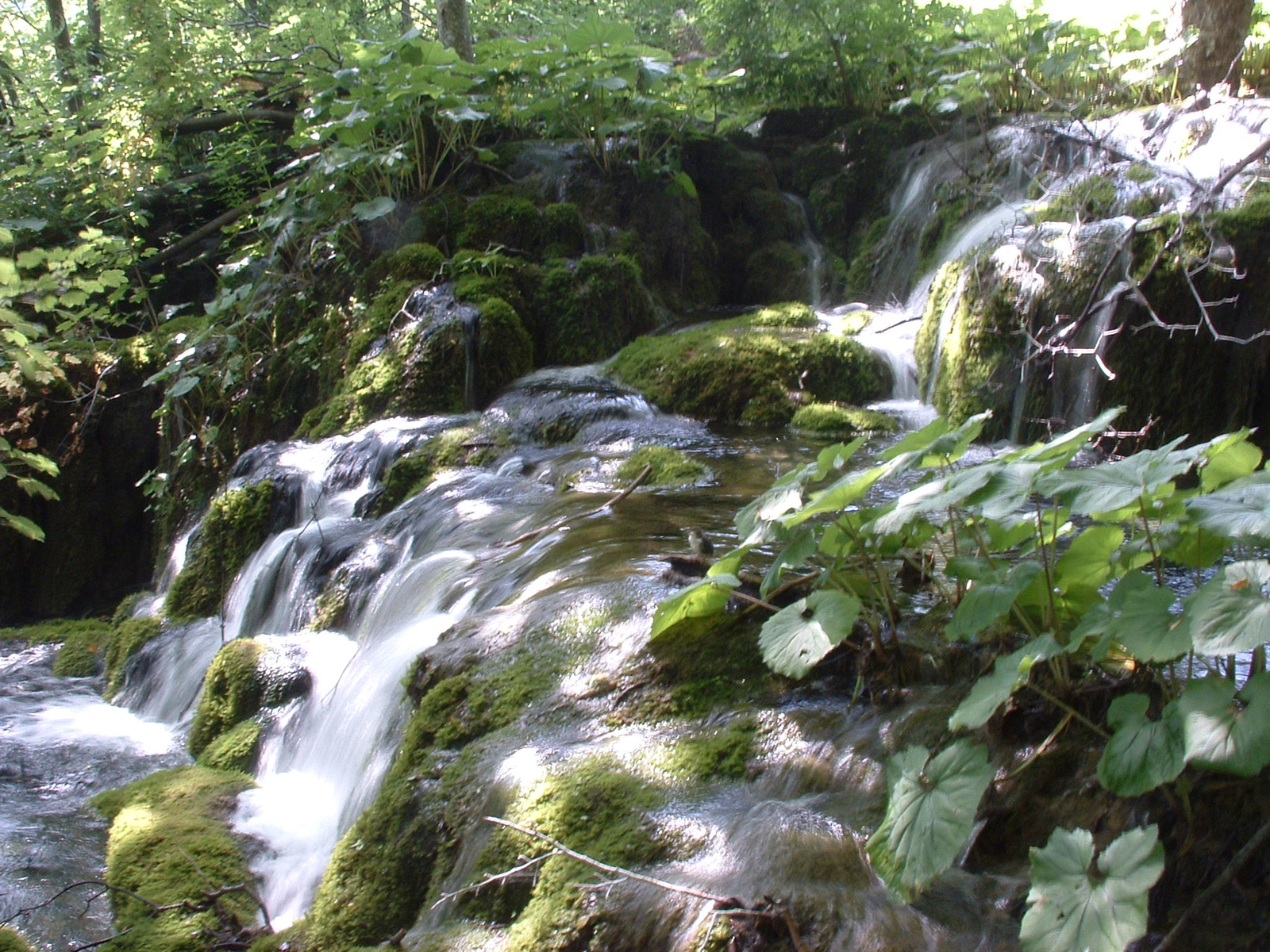 Plitvice116