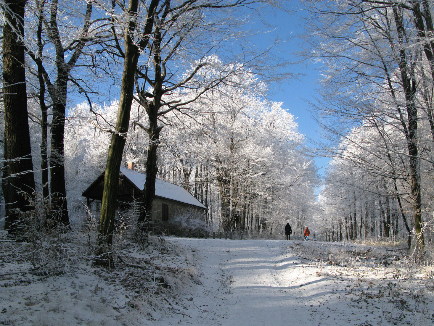 090103 G9 OKT Psztlászló-Psztkereszt 6753