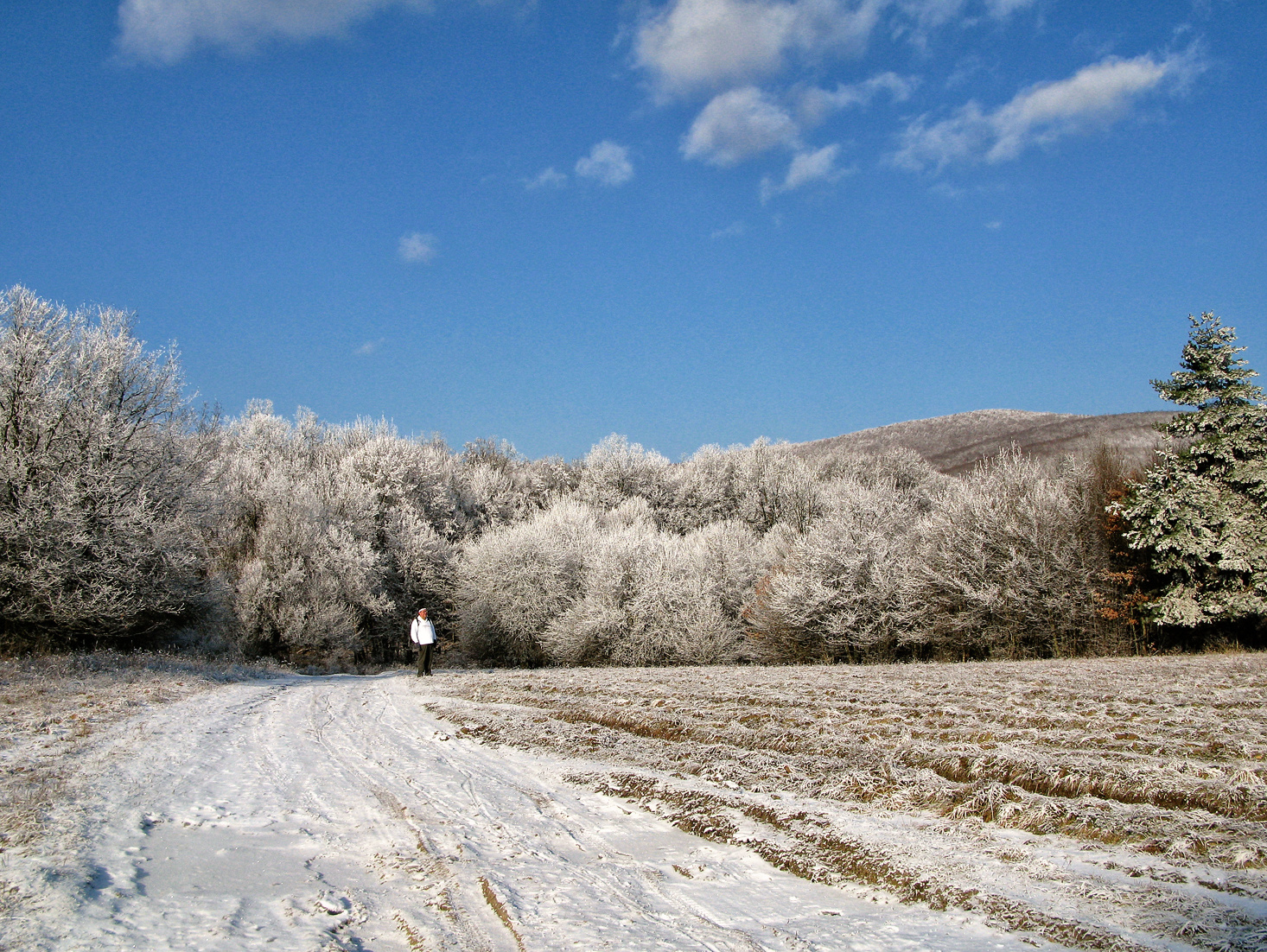 090103 G9 OKT Psztlászló-Psztkereszt 6737