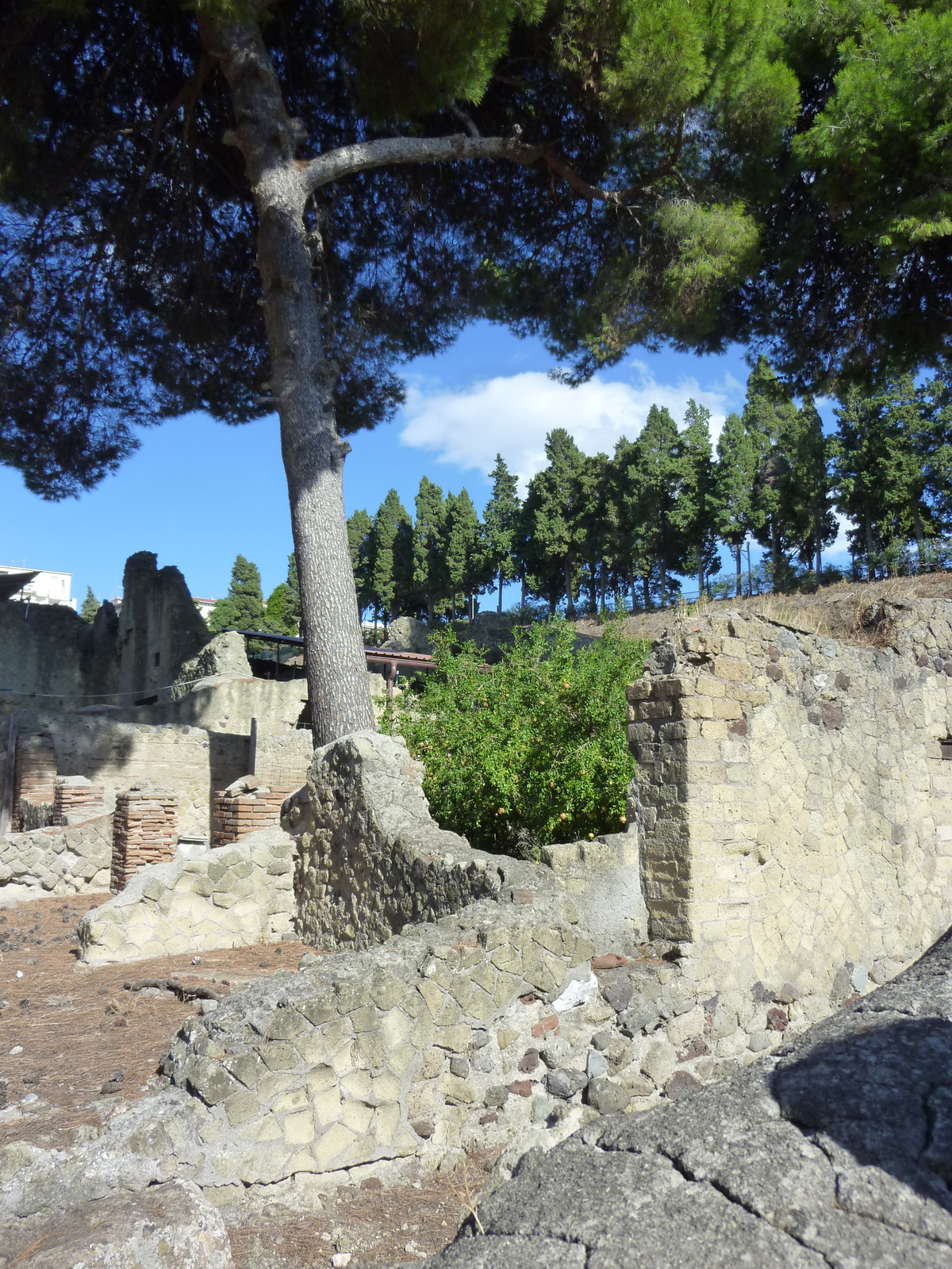 Herculaneum 17