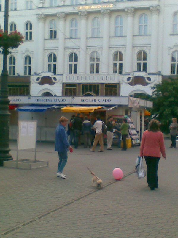 Vörösmarty tér - könyvnapon 2009. 016