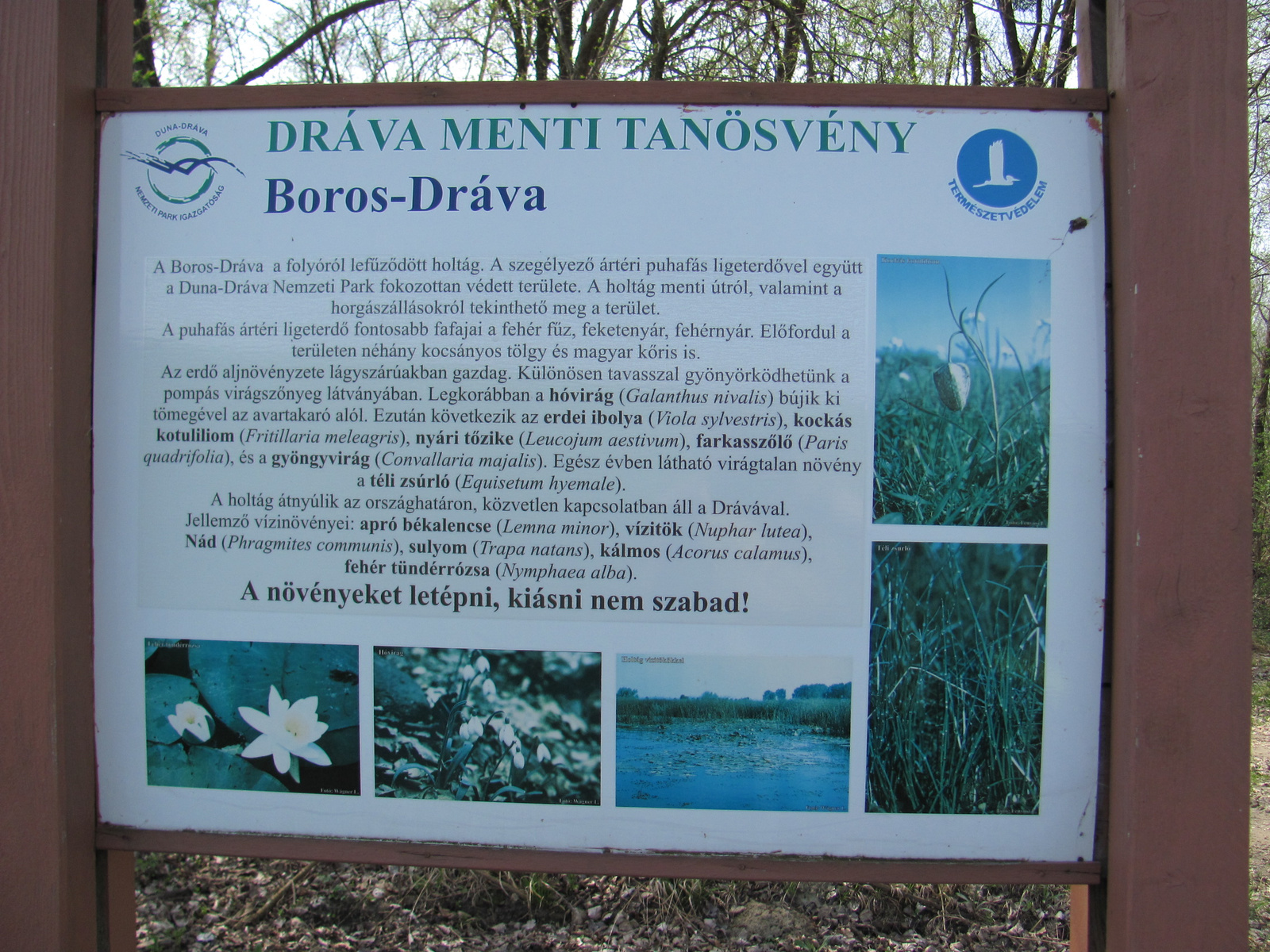 2011.04.03.Dráva menti bicajtúra 108