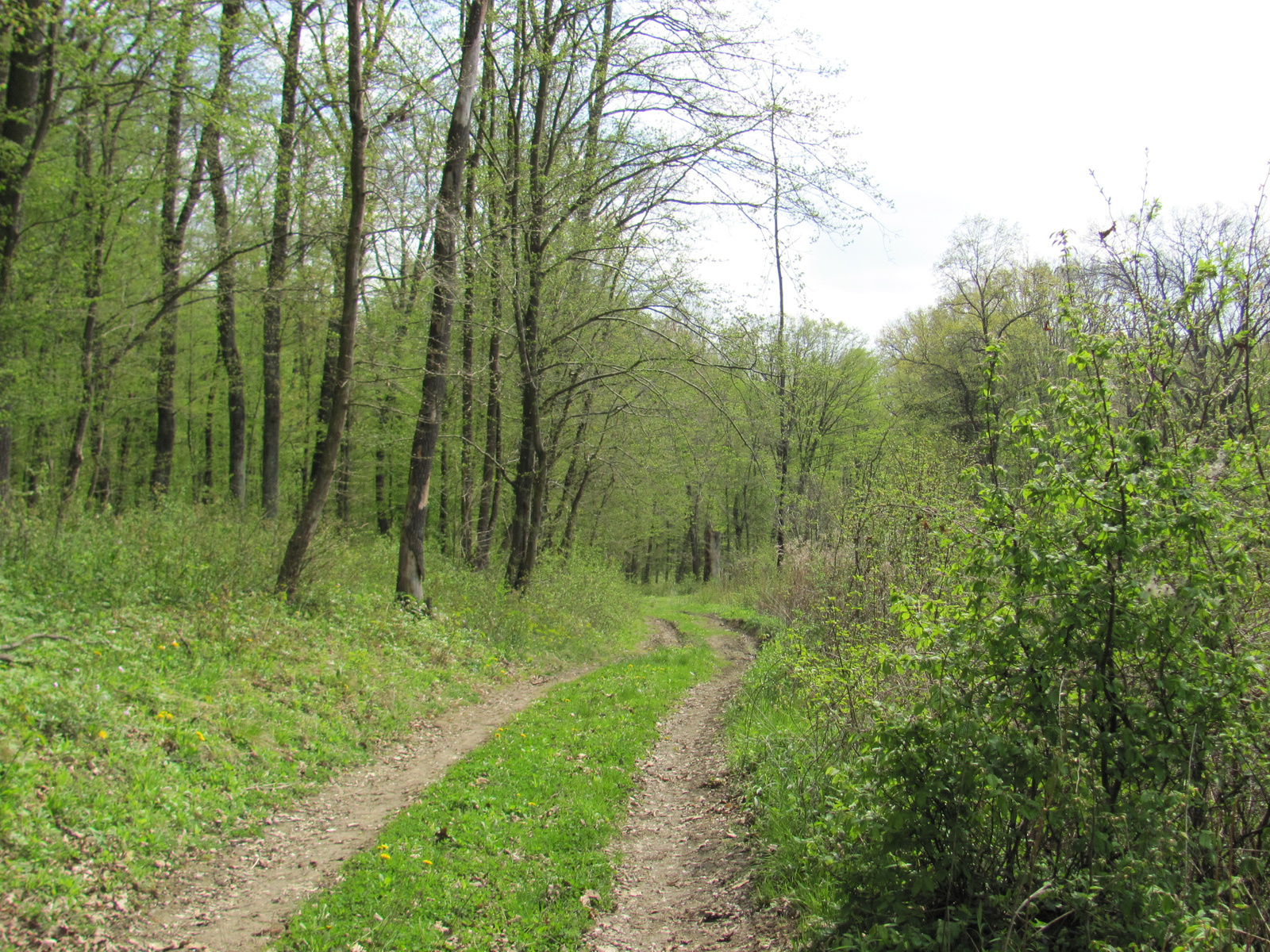 2011.04.17.Magyaregregy-Komló 131