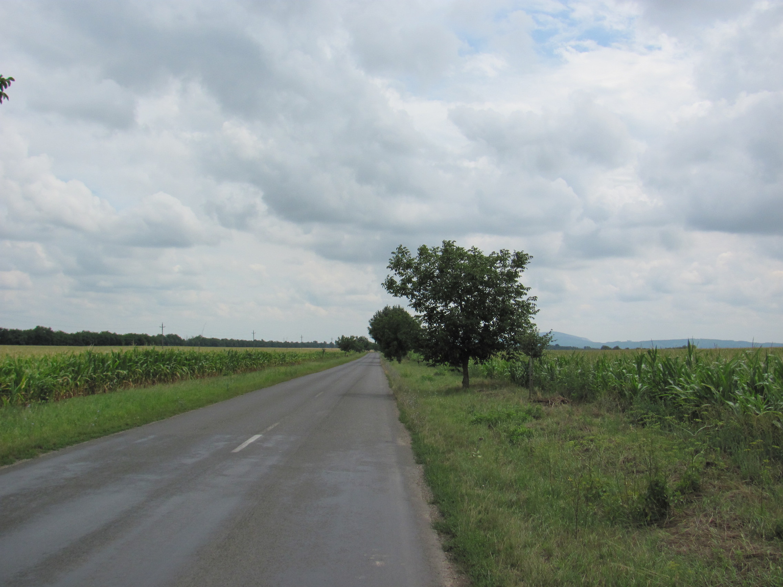 2011.07.24.Villány-Harkány-Görcsöny bicaj 008