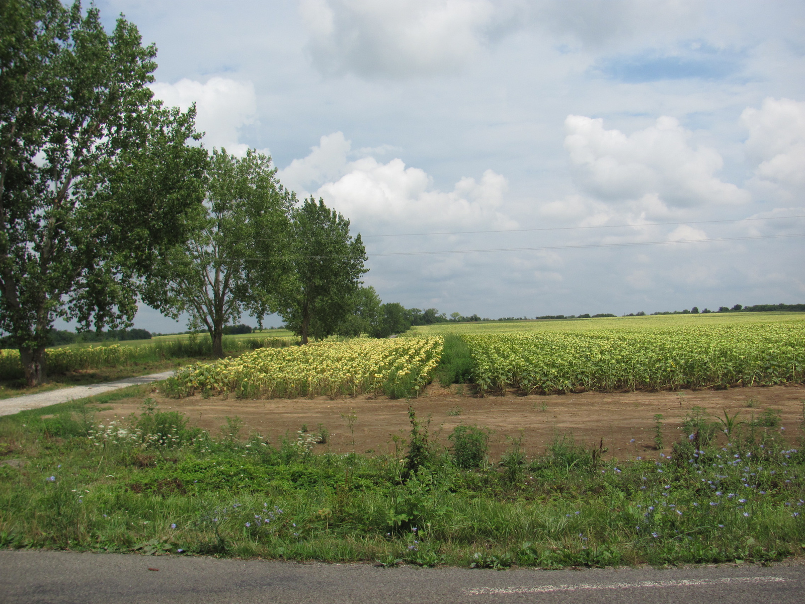 2011.07.24.Villány-Harkány-Görcsöny bicaj 010