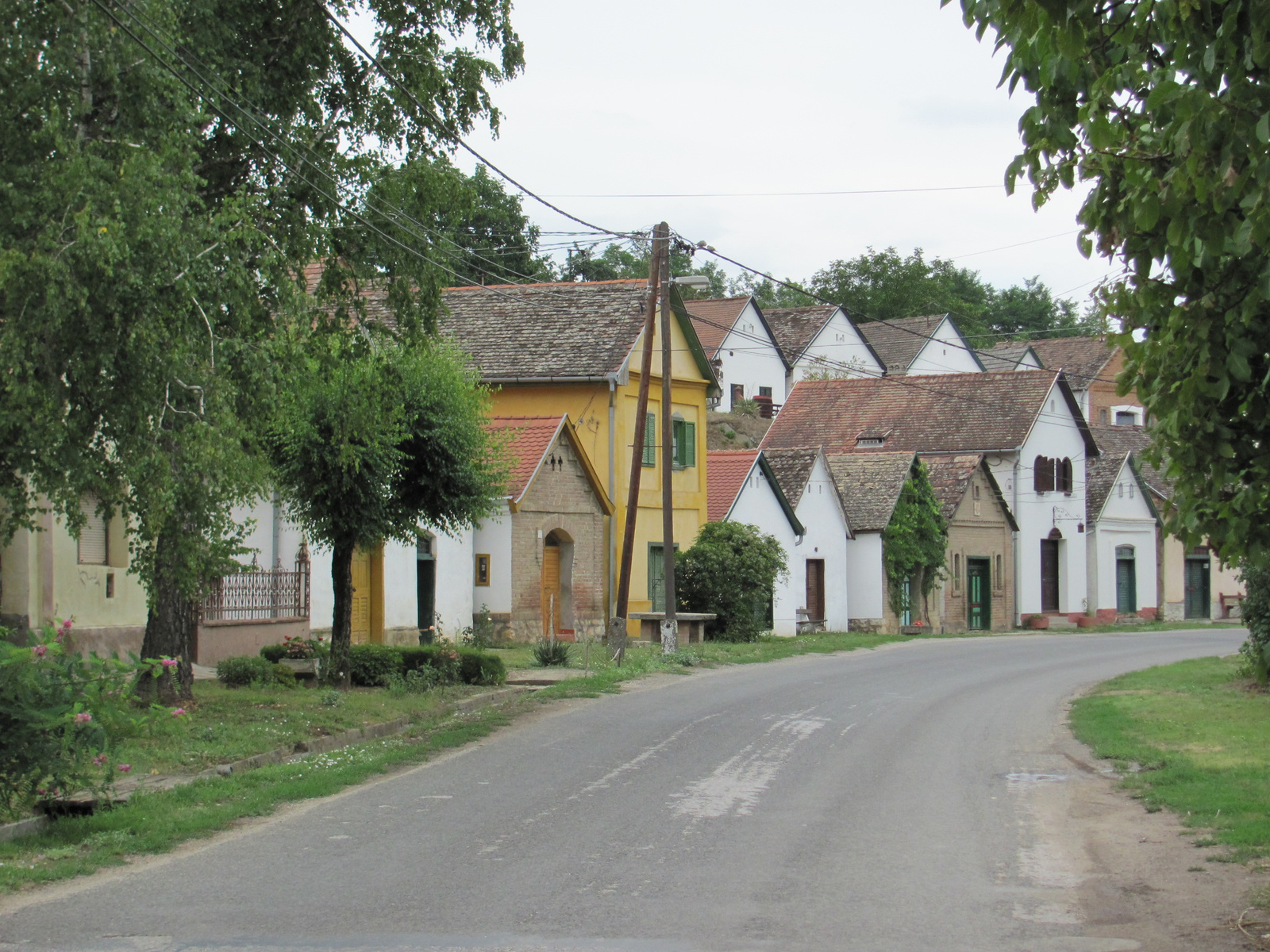 2011.07.24.Villány-Harkány-Görcsöny bicaj 022