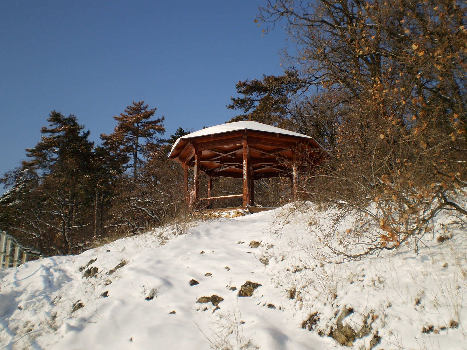 20091220Téli séta a Mecseki parkerdőben 024