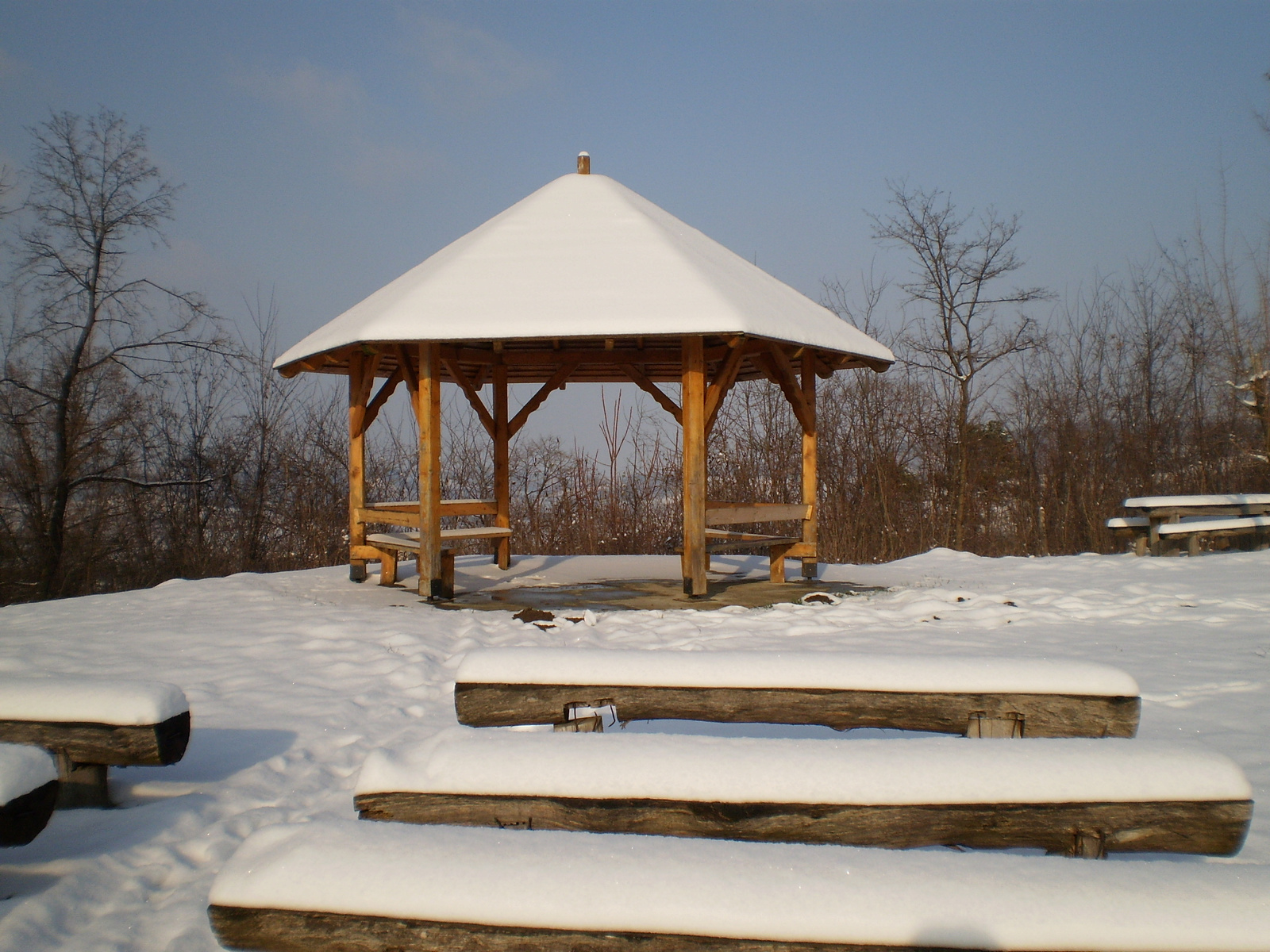 20100123Mecseknádasd Sloszberg