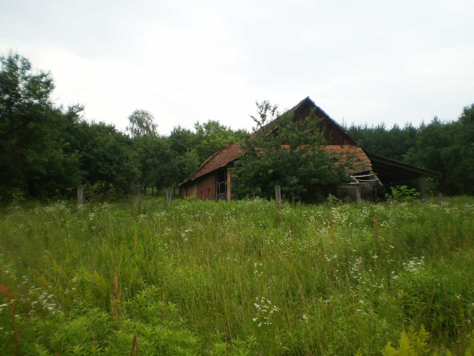 20100626-27 Zalaegerszeg 033