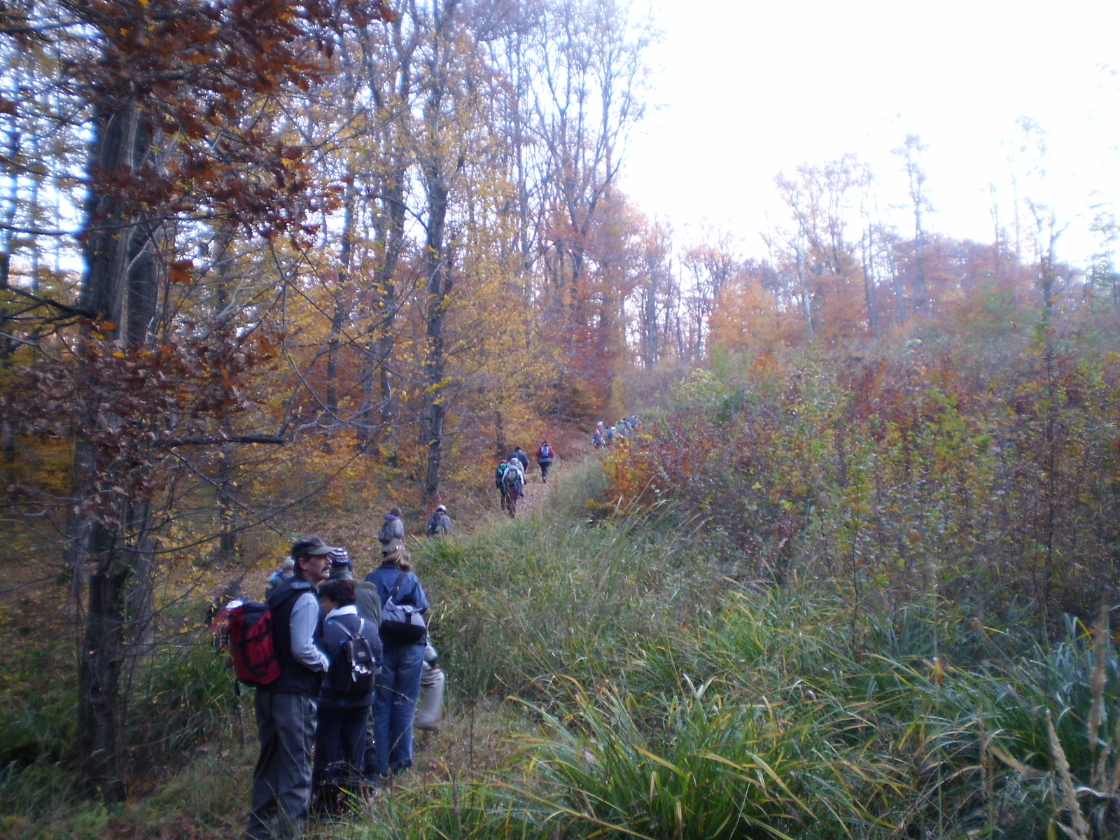 20101030Zobák-Pécsvárad 008