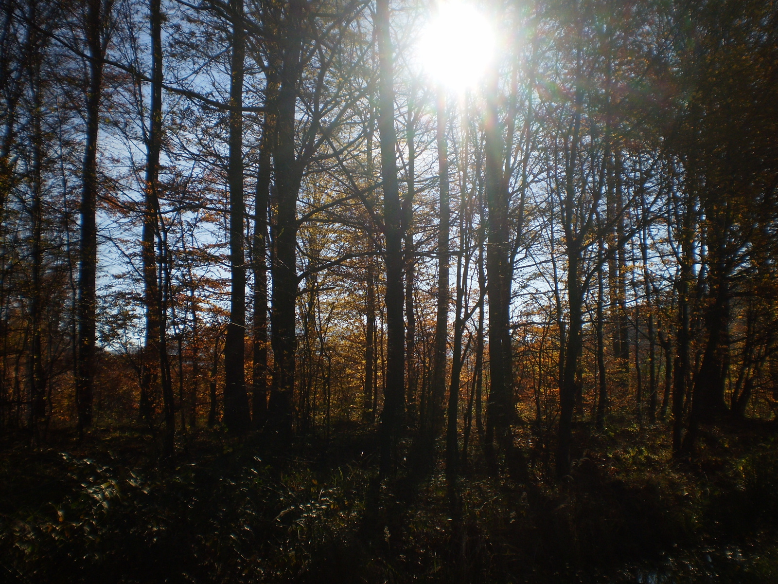 20101030Zobák-Pécsvárad 069