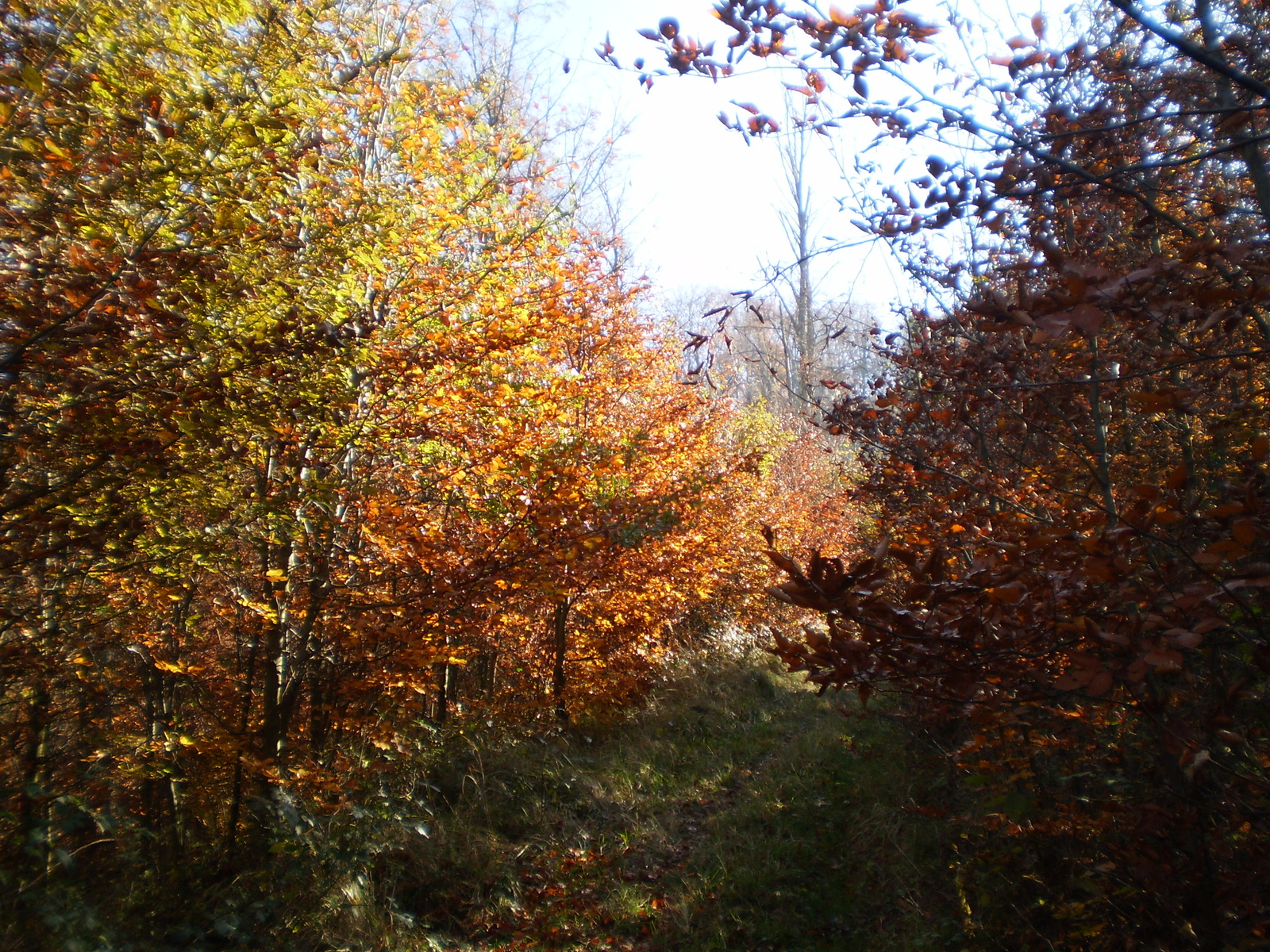 20101030Zobák-Pécsvárad 108