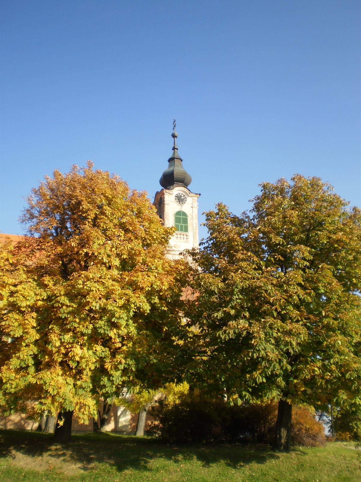 20101030Pécsvárad