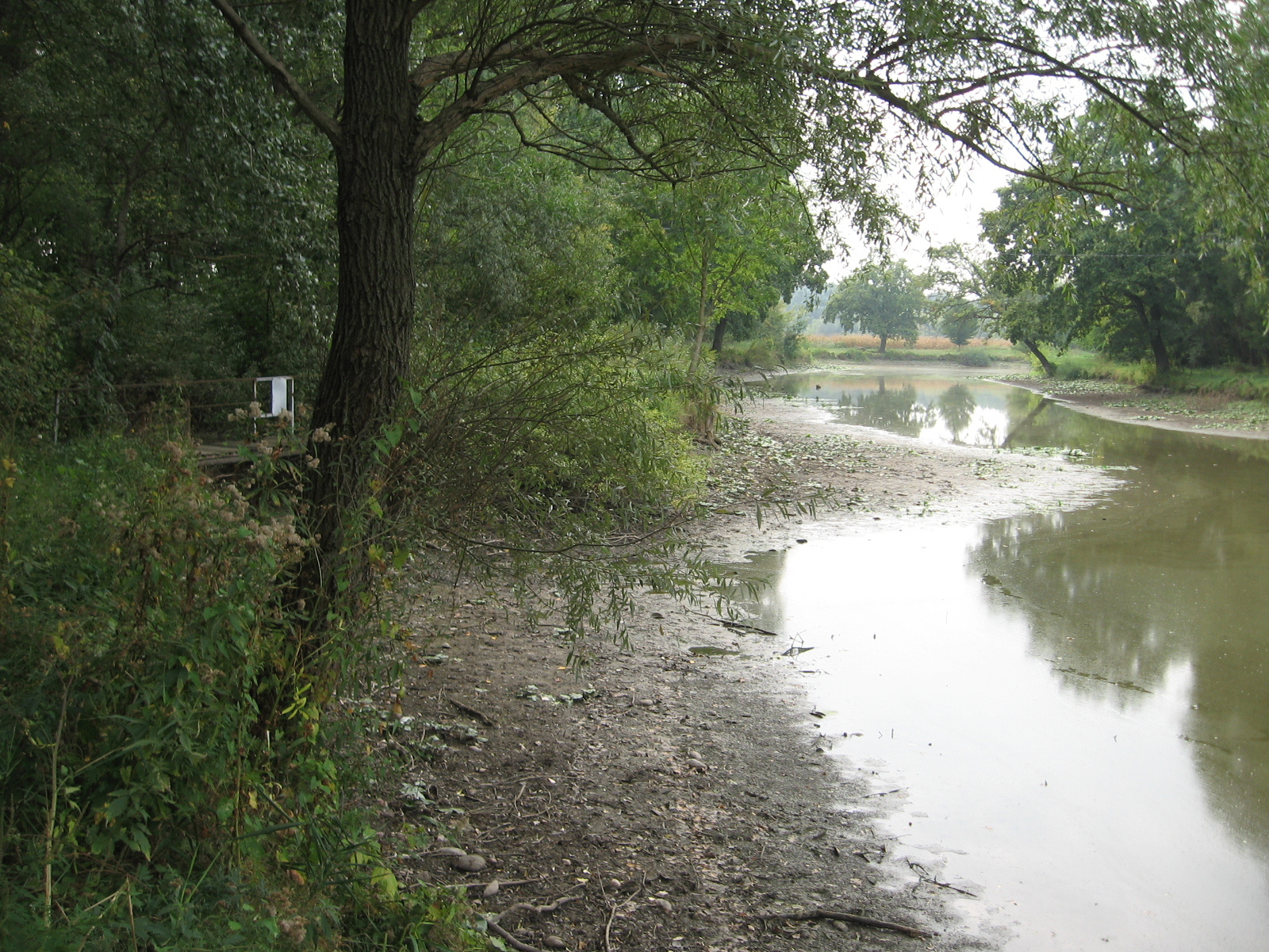 2009.09.17.-Szedres ős-sárvíz 051