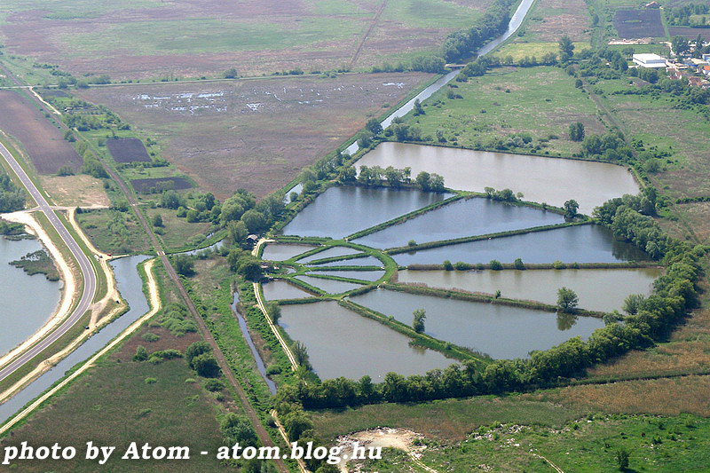 Víztisztító 2 - légifotó