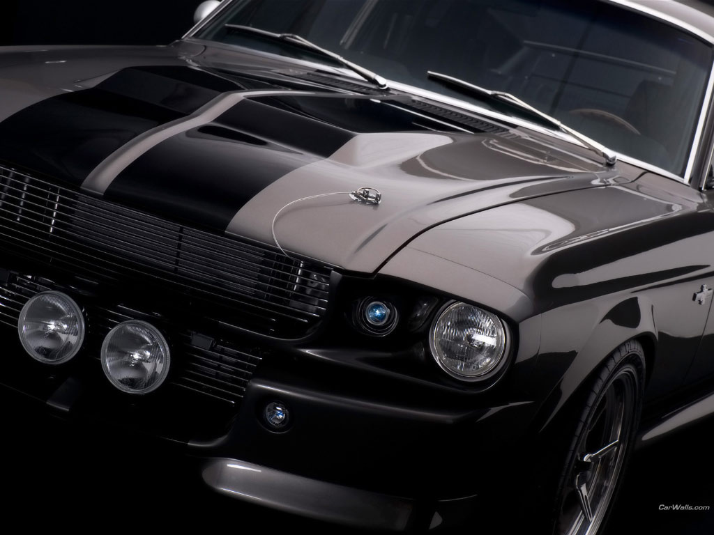 Mustang 60-seconds 115 1024x768