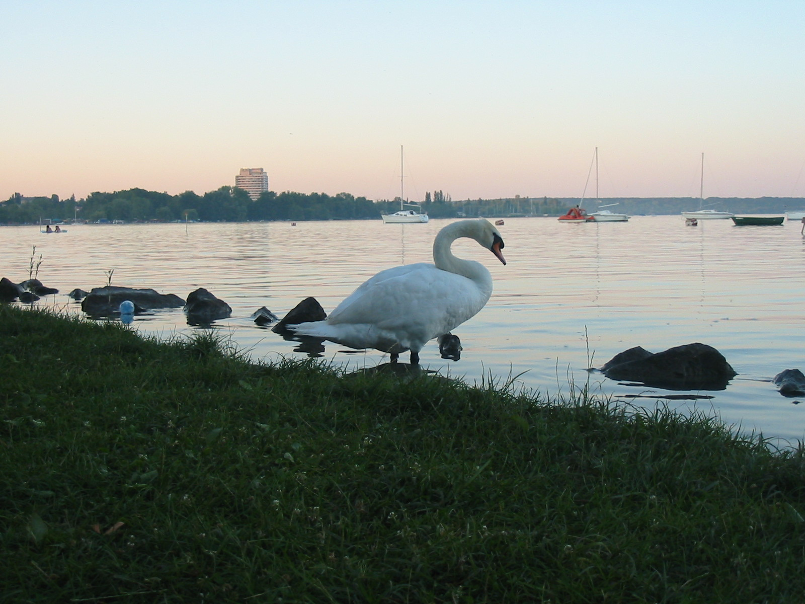 Balatonalmádi