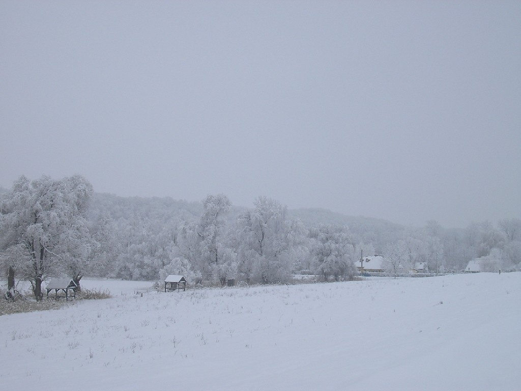 Pogányi tó 020