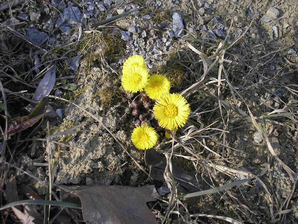 februári Orfű 046