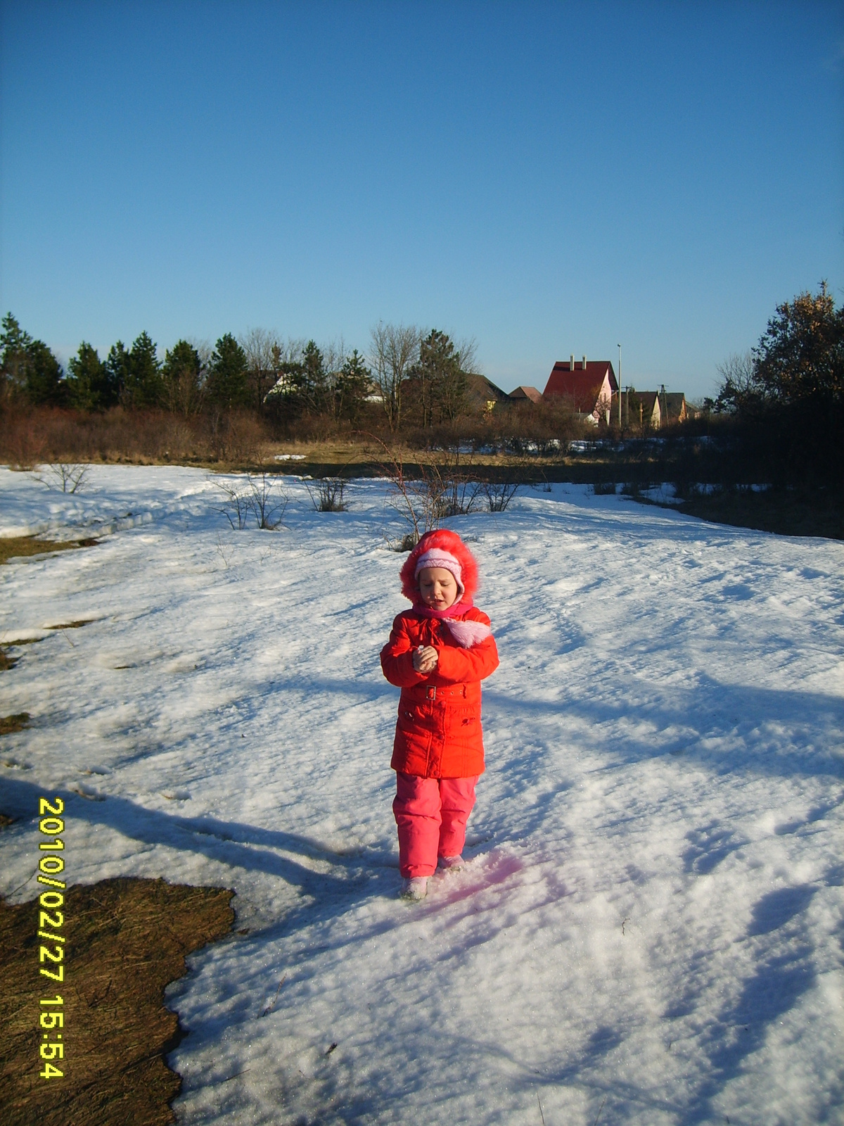 2010 Február 27 kutya sétáltatás