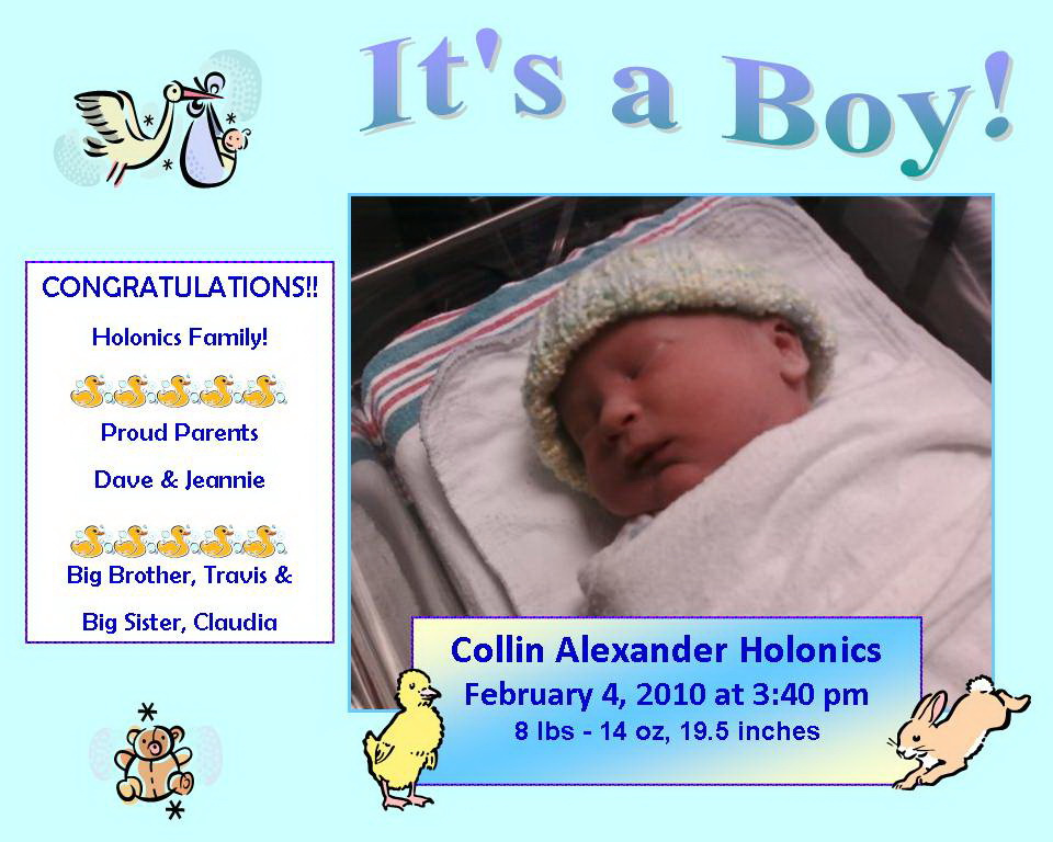 Collin Alexander Holonics