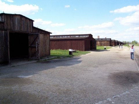 Birkenau 2007