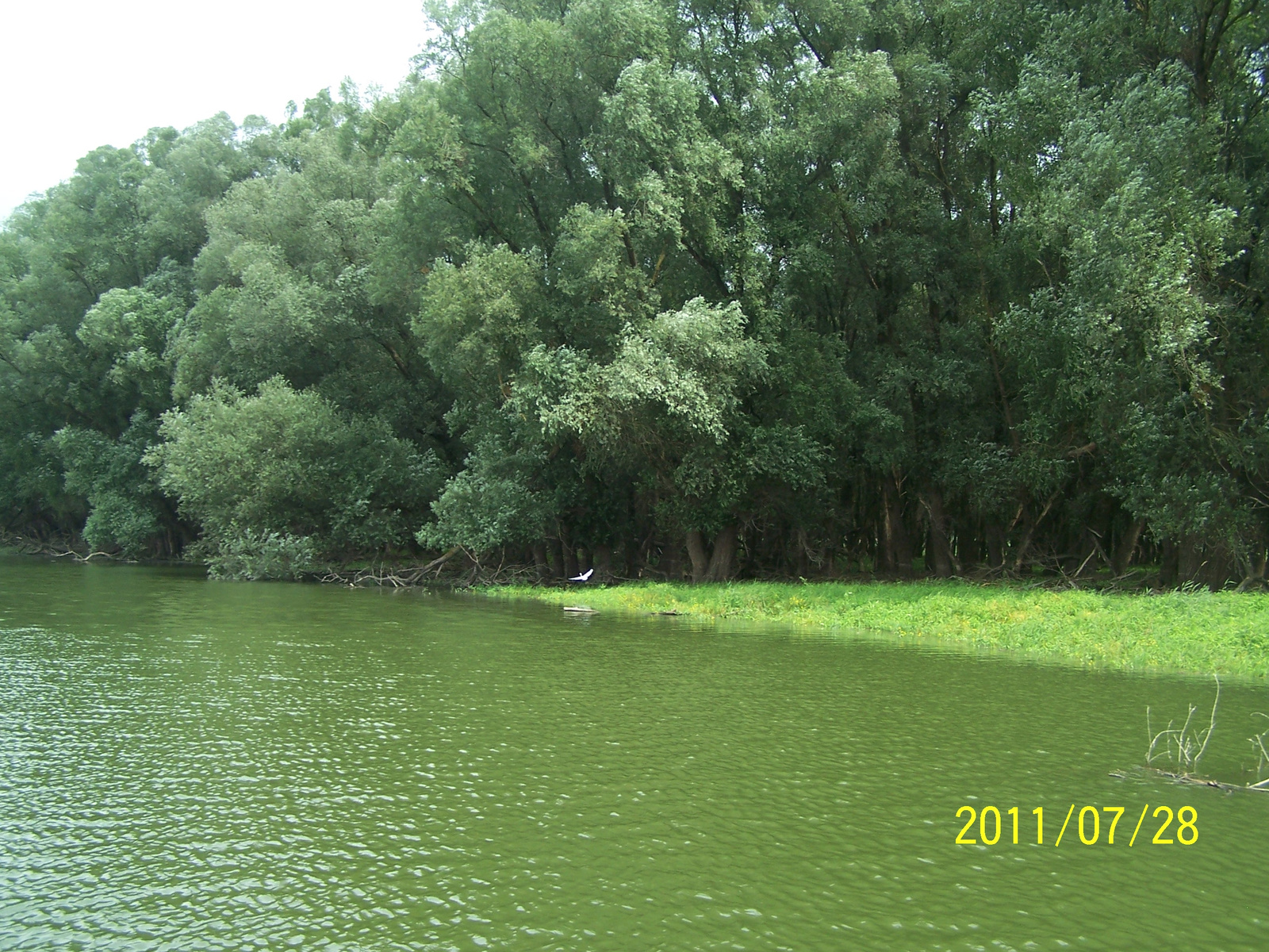 2011 Burdenland Horvátország 235