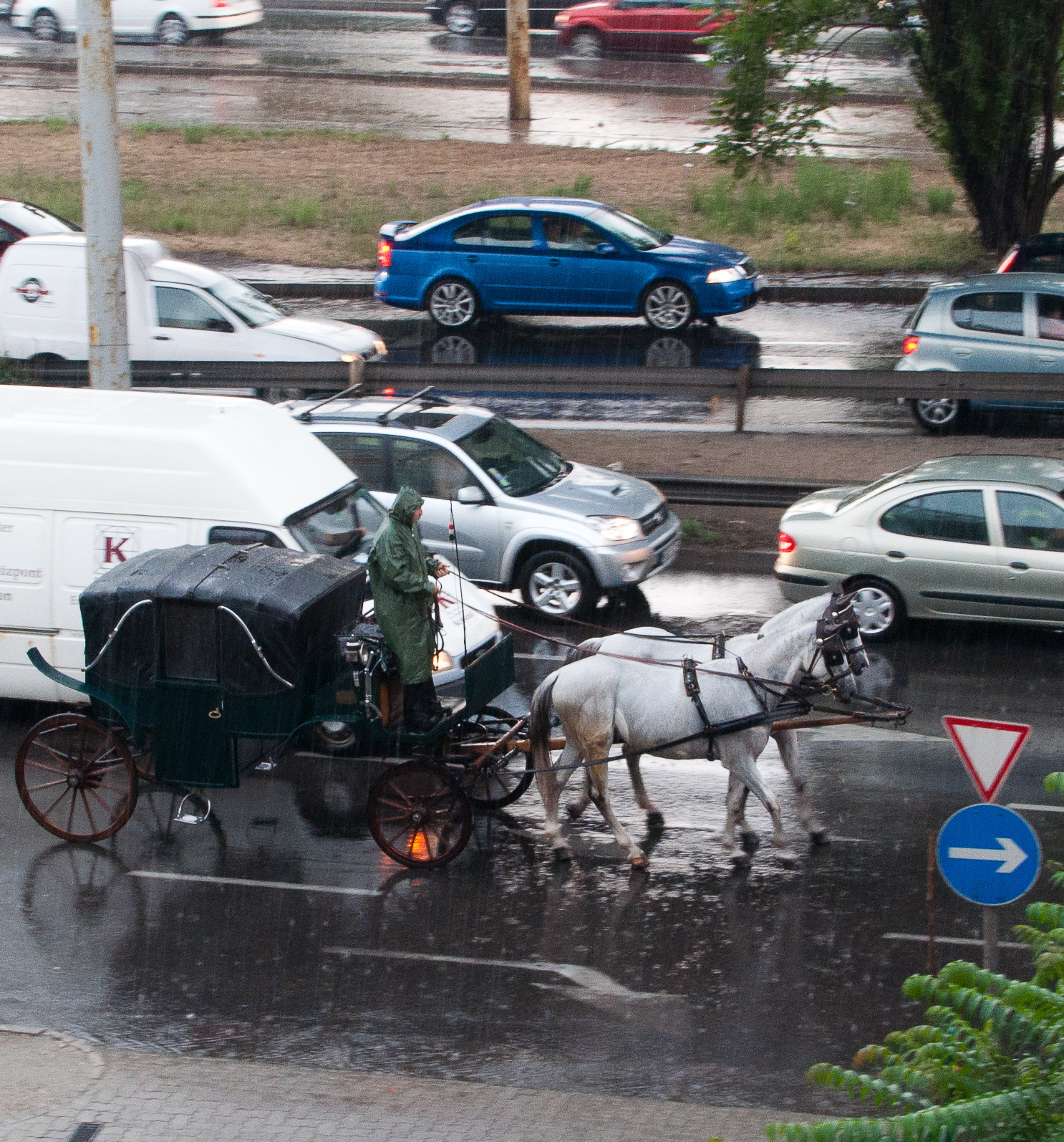 RS Octavia és lovaskocsi