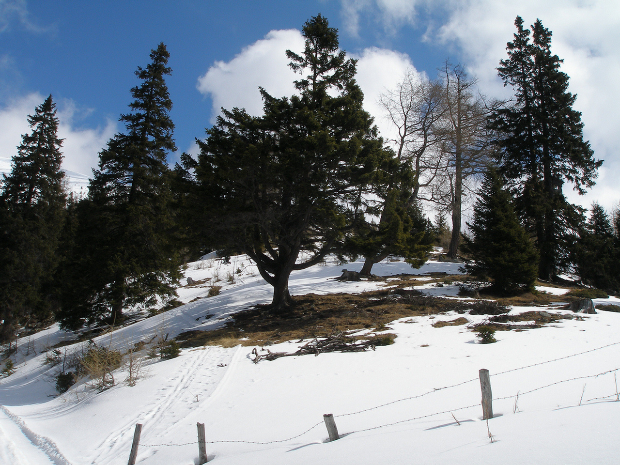 20080405 Ameringkogel-Grössenberg  009 P4059911