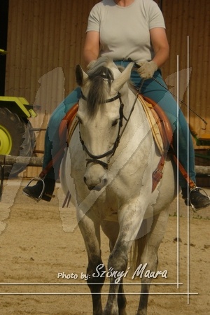 pulling 20080515 4368 tn