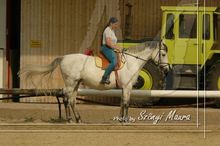 pulling 20080515 4408 tn