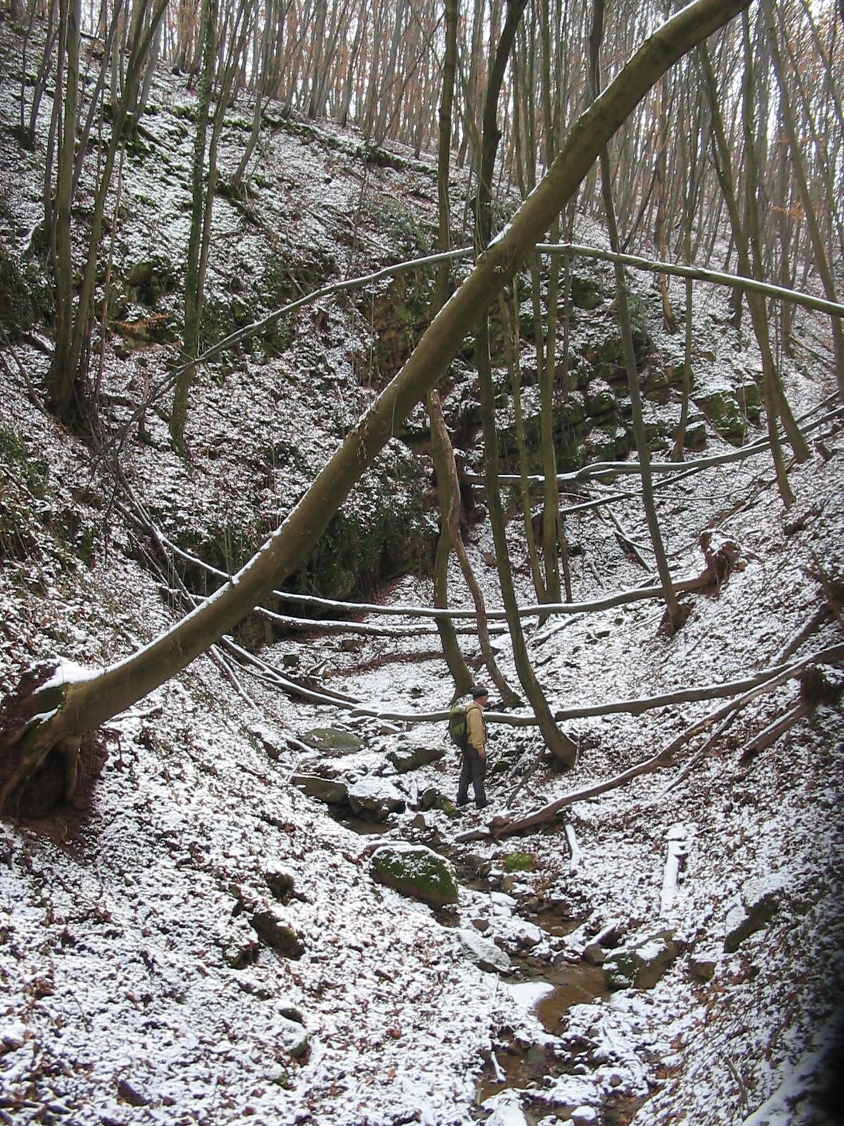 2011 01 26  forrás túra 025