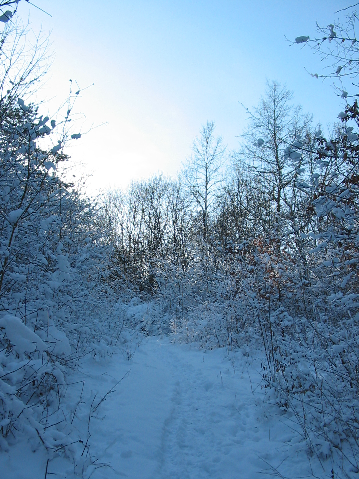 2010 02 02 Orfű-Égervölgy 019