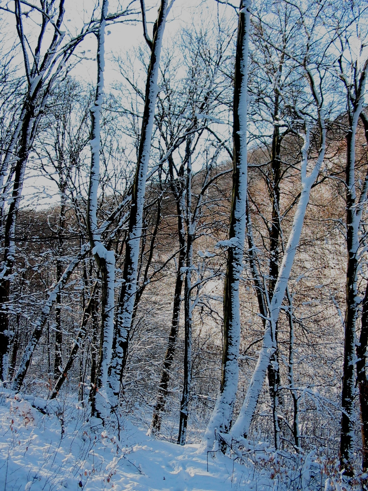 2010 02 02 Orfű-Égervölgy 024