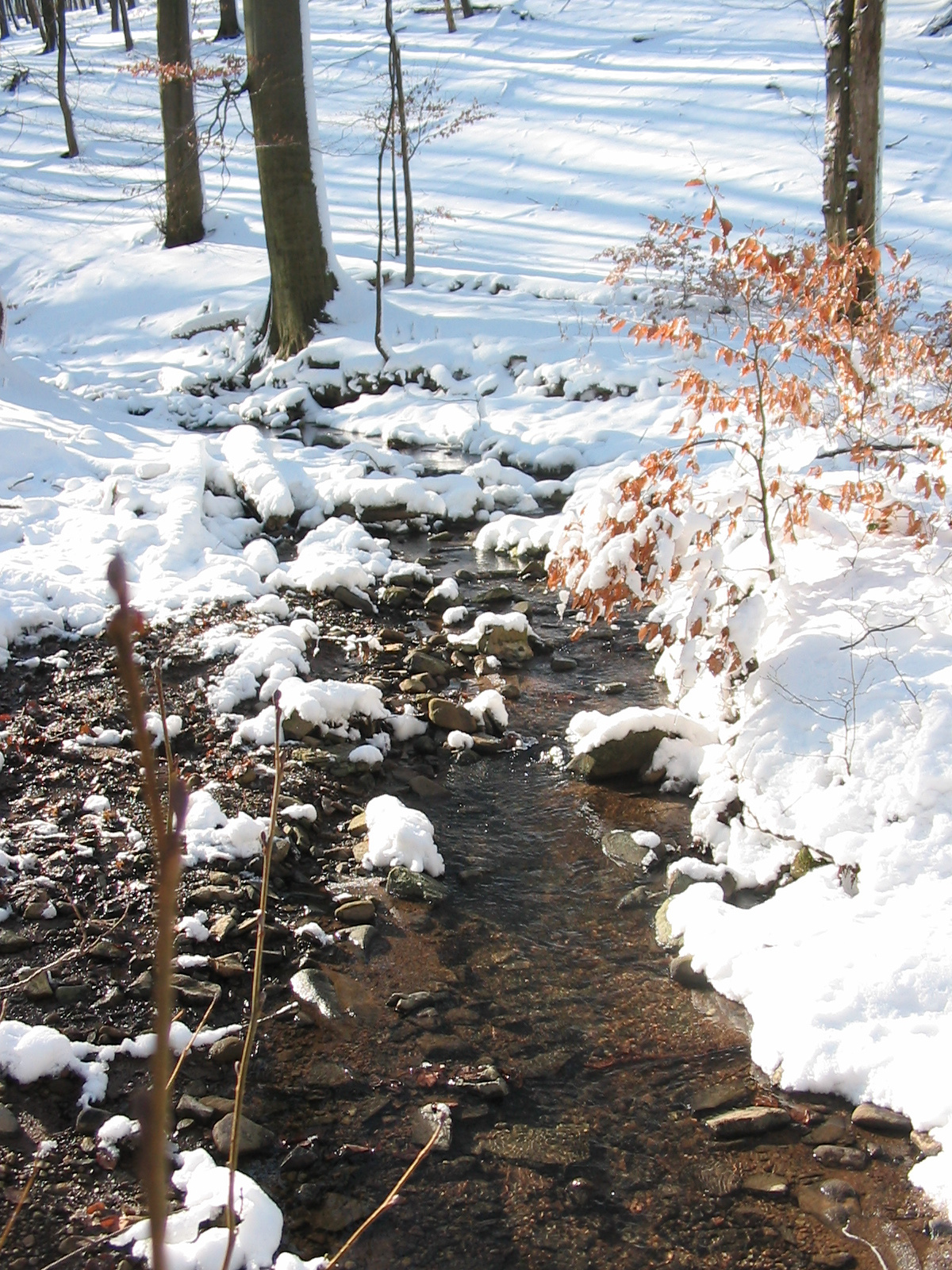 2010 02 02 Orfű-Égervölgy 030