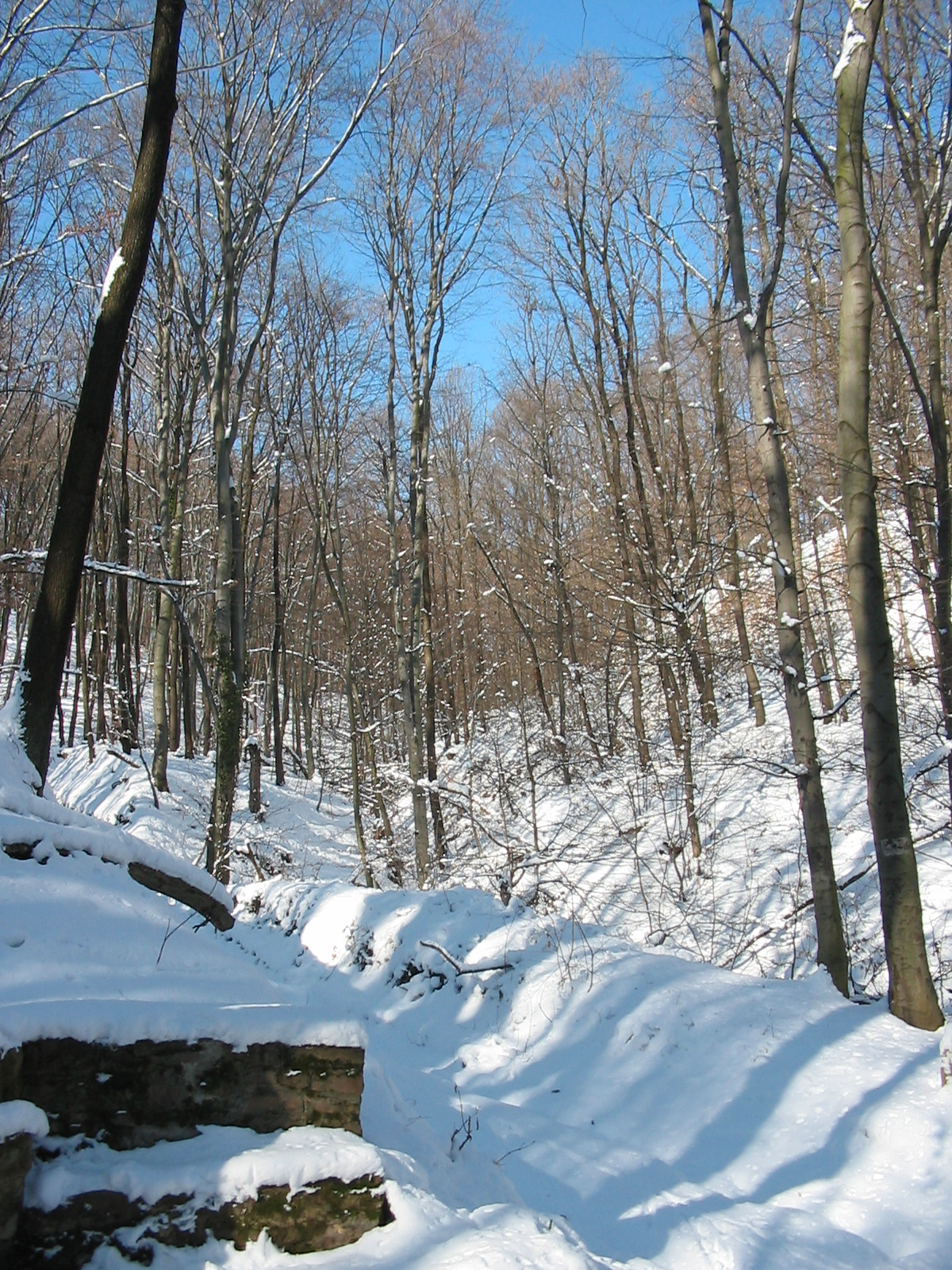 2010 02 02 Orfű-Égervölgy 059