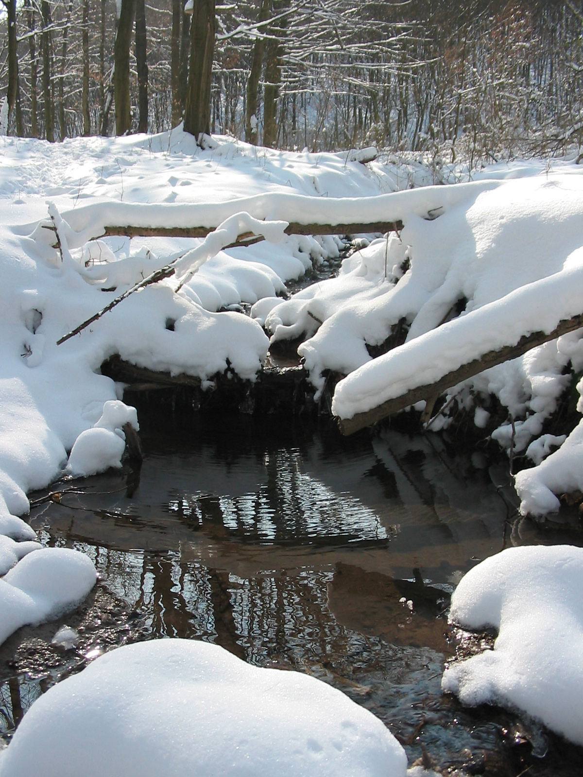 2010 02 09 Komló-Pécsbánya 036