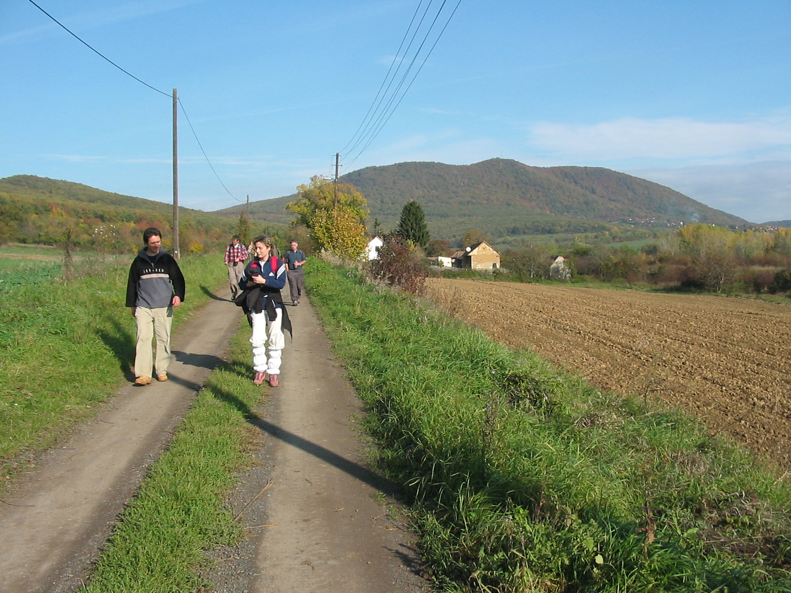 2010 10 23 Hosszúhetény -Szőlő 007