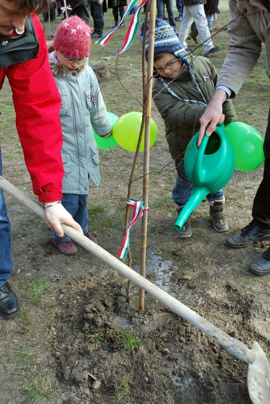 39Telekitér2010márc15